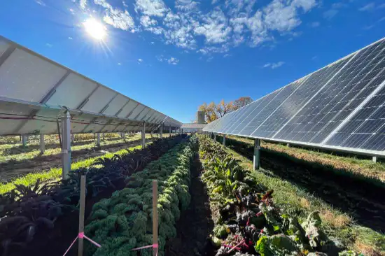 Solar for Farms